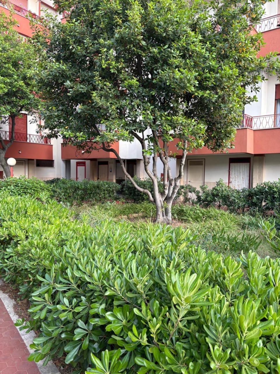 Garden view