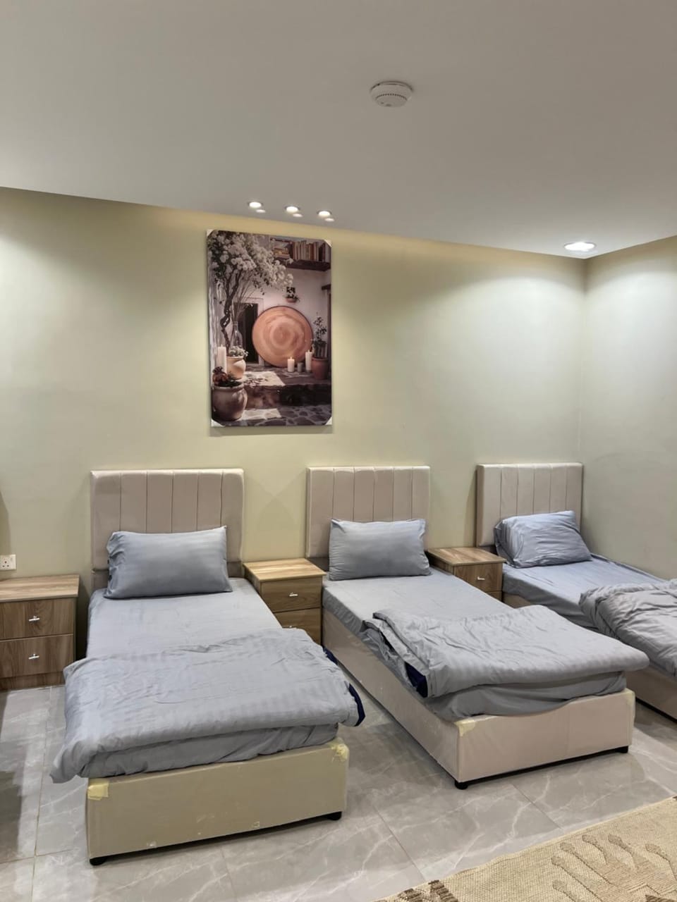Bed, Living room, Photo of the whole room, Seating area, Bedroom