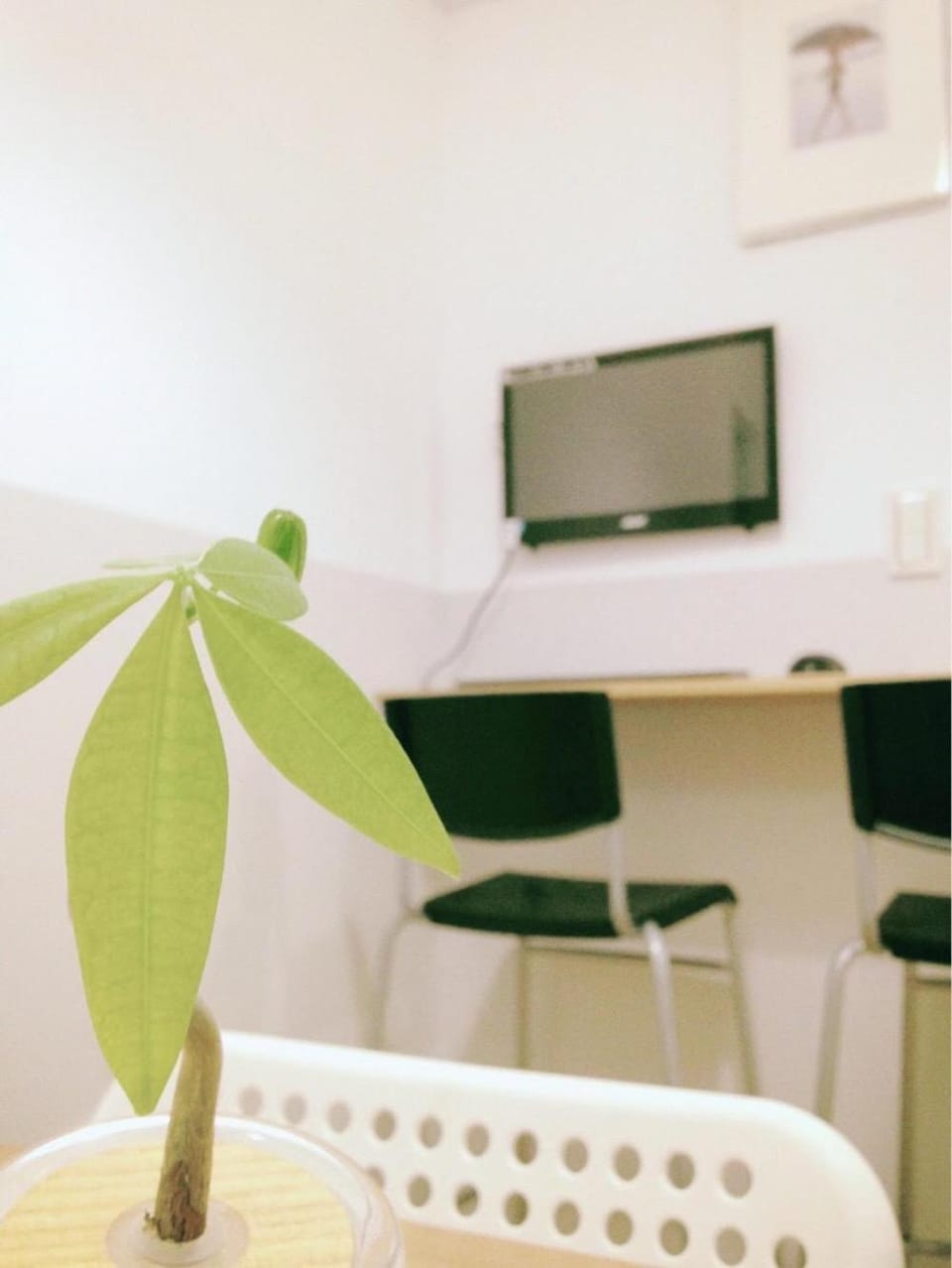 Fun Taipei Share House 樂趣台北共居 - 月租 Hostel in Taipei City
