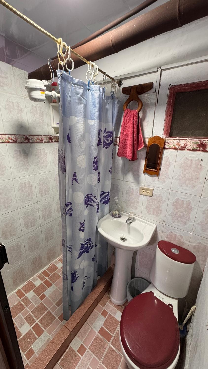 Shower, Toilet, Bathroom