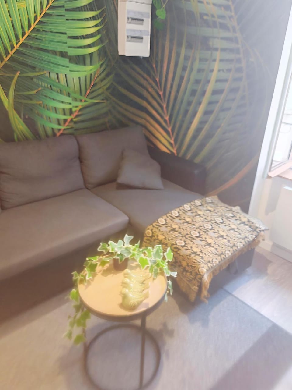 Bulle tropicale jungle Apartment in Clermont-Ferrand