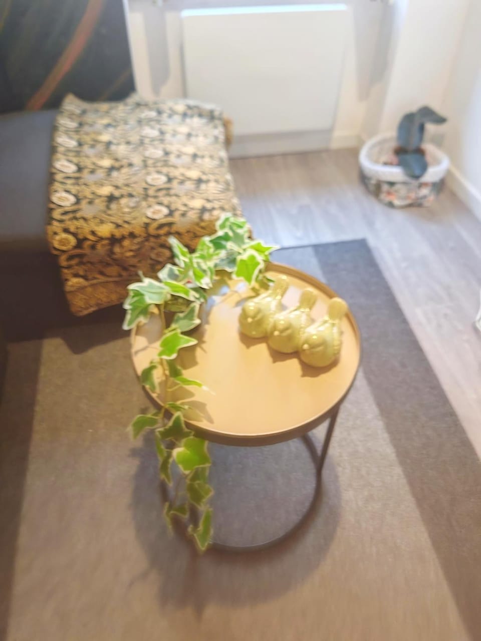 Bulle tropicale jungle Apartment in Clermont-Ferrand