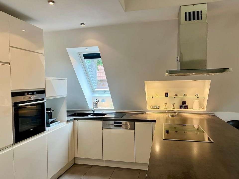Kitchen or kitchenette, dishwasher, oven, stove