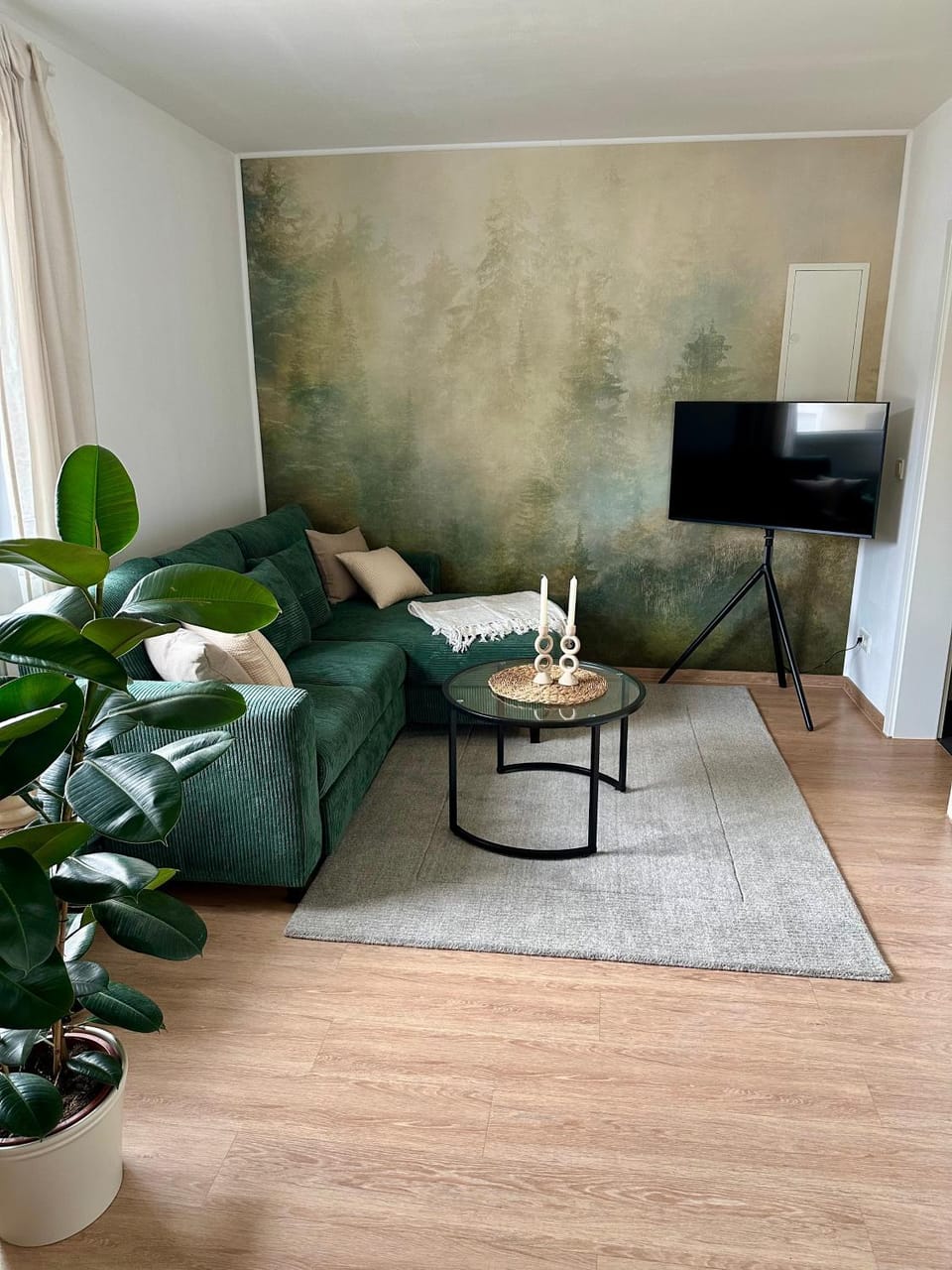 TV and multimedia, Living room