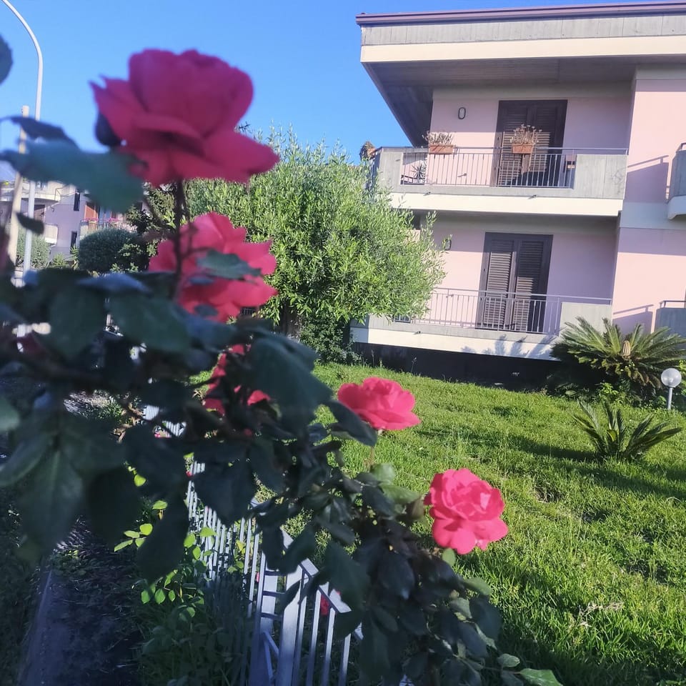 aranceto dell'Etna Villa in Mascali