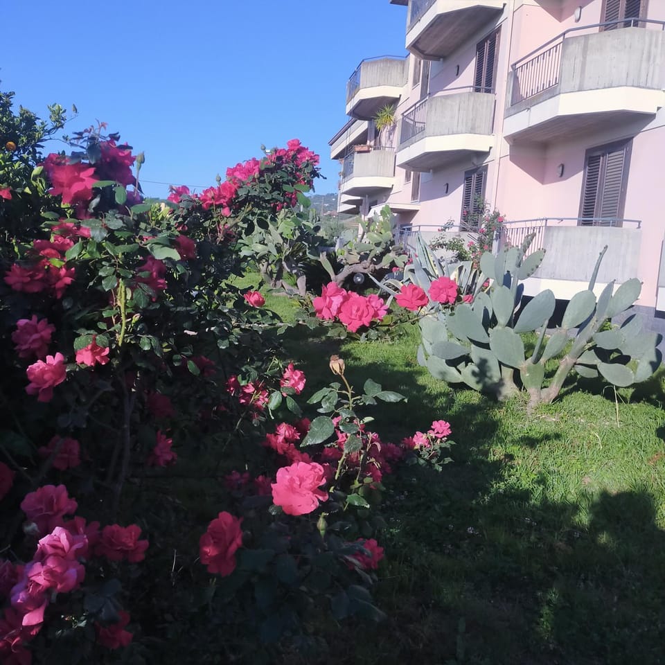 aranceto dell'Etna Villa in Mascali