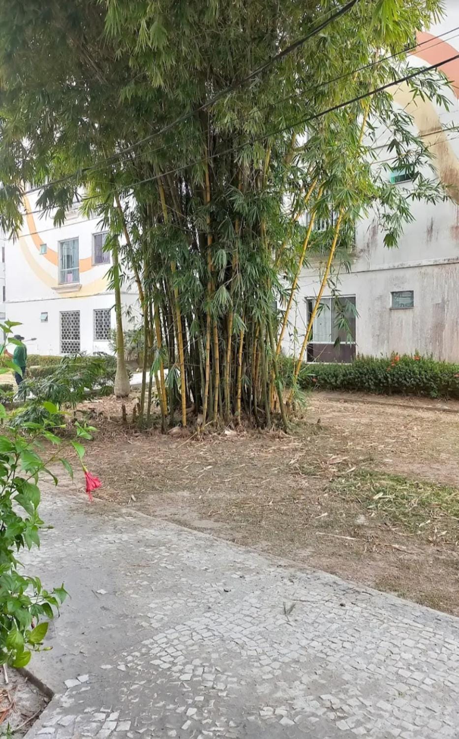 Excelente Apto com 2 quartos para COP 30 Apartment in Belém
