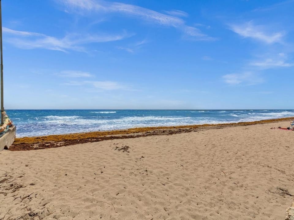 Dania Beach 1BR | Views + WiFi + Parking Apartment in Hollywood Beach