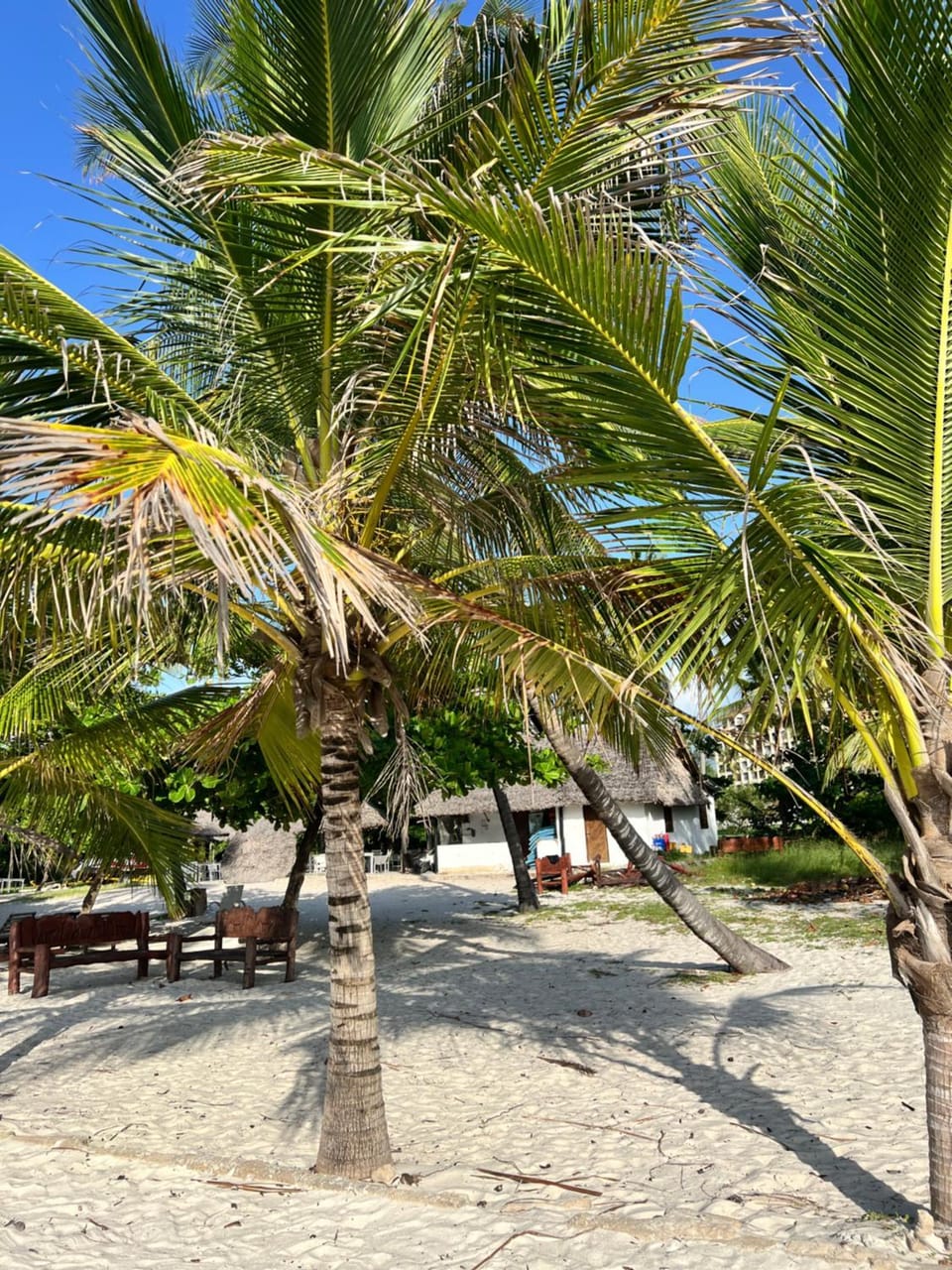 Golden Sun and Sand Studio Apartments Apartment in Diani Beach