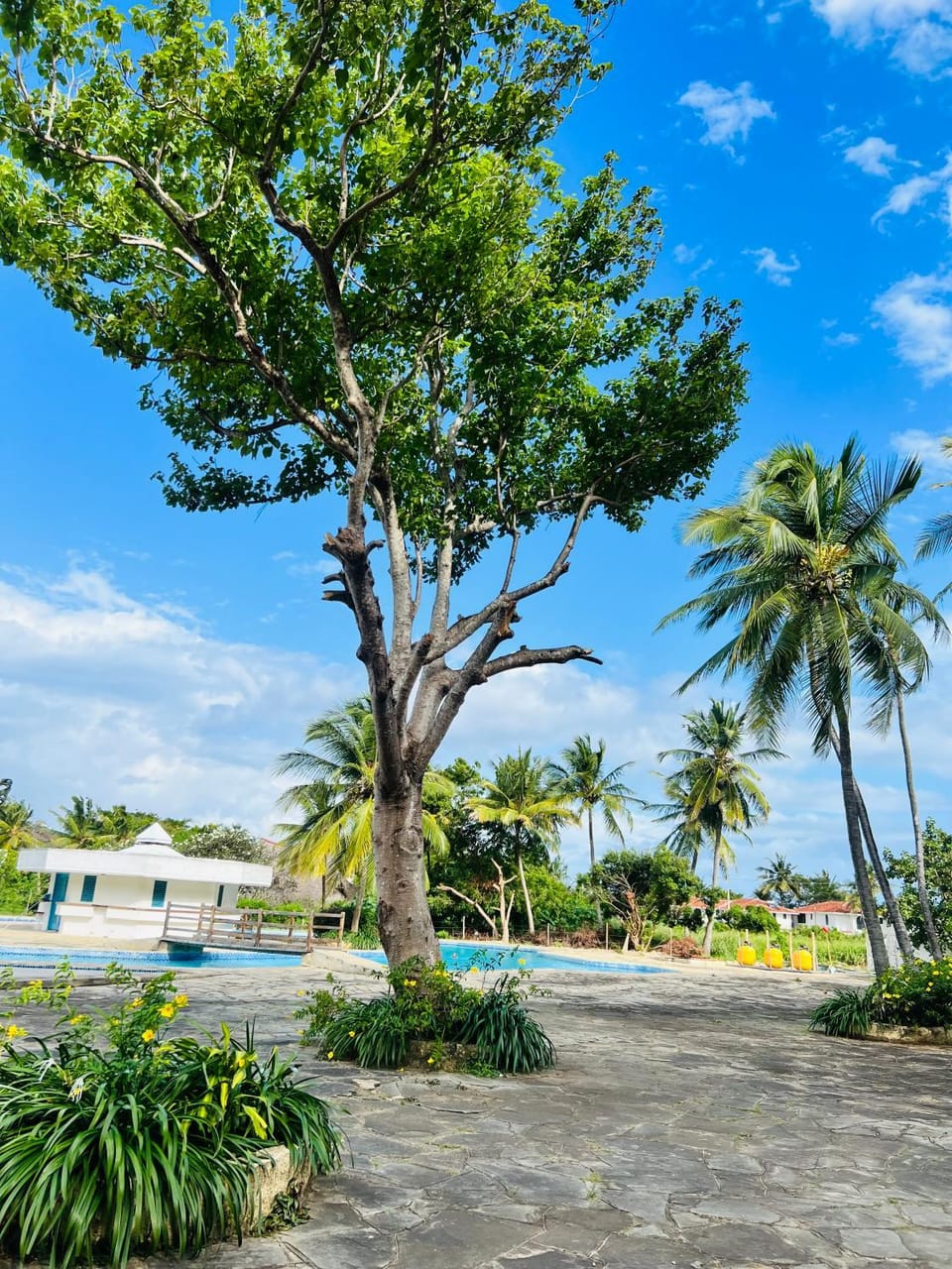 Golden Sun and Sand Studio Apartments Apartment in Diani Beach