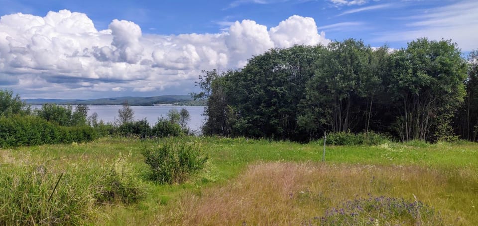 Natural landscape, Garden, River view