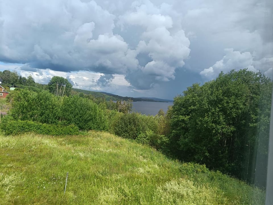 Natural landscape, Garden, River view
