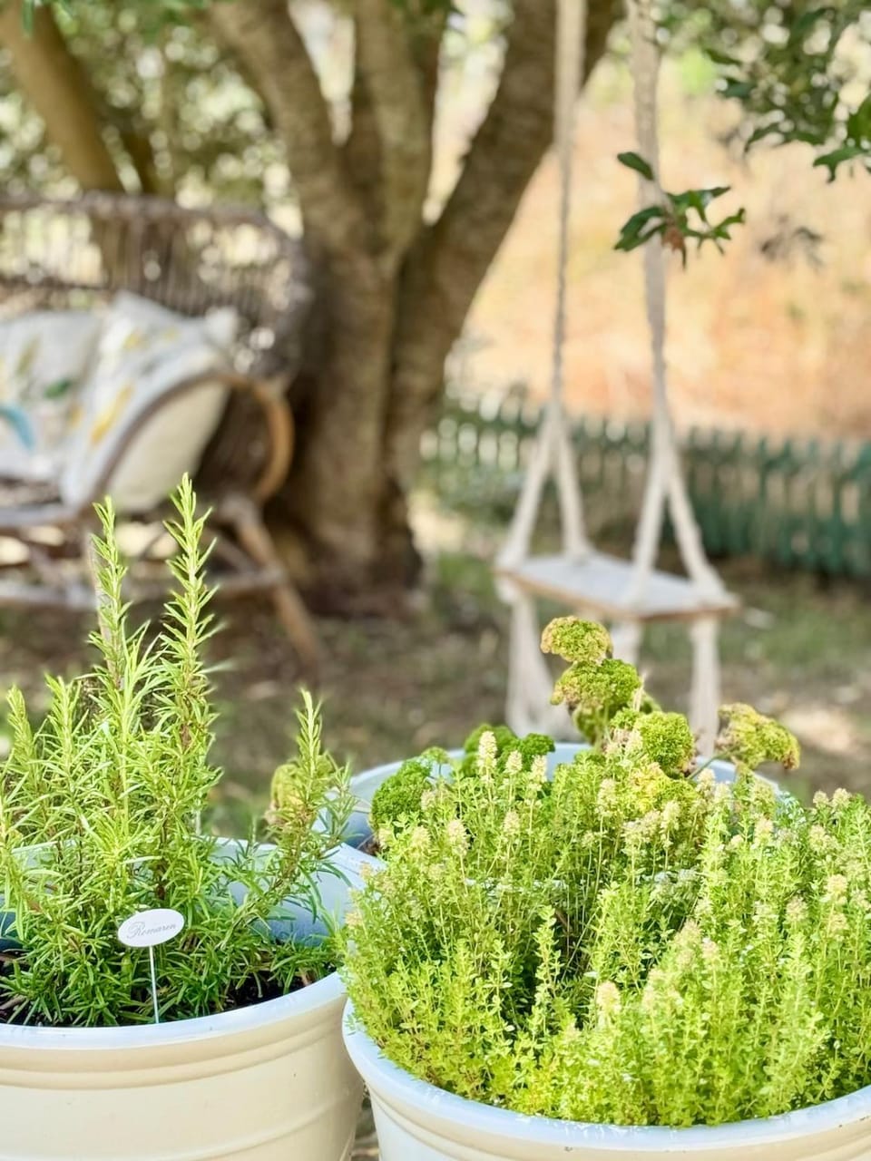 Spring, Day, Garden, Garden view