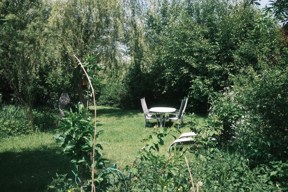 Spring, Garden
