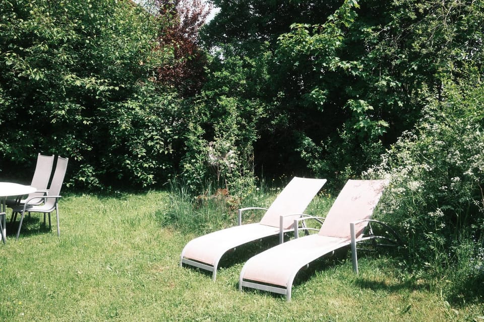 Spring, Garden, sunbed