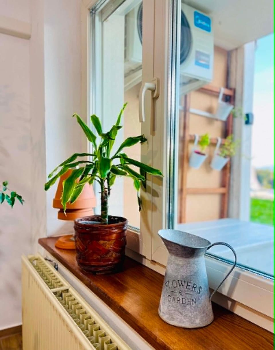 Sunny Karla apartment Dramlje ID one35030 Apartment in Slovenia