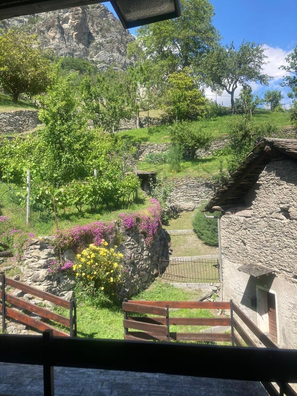 Natural landscape, Garden, Garden view