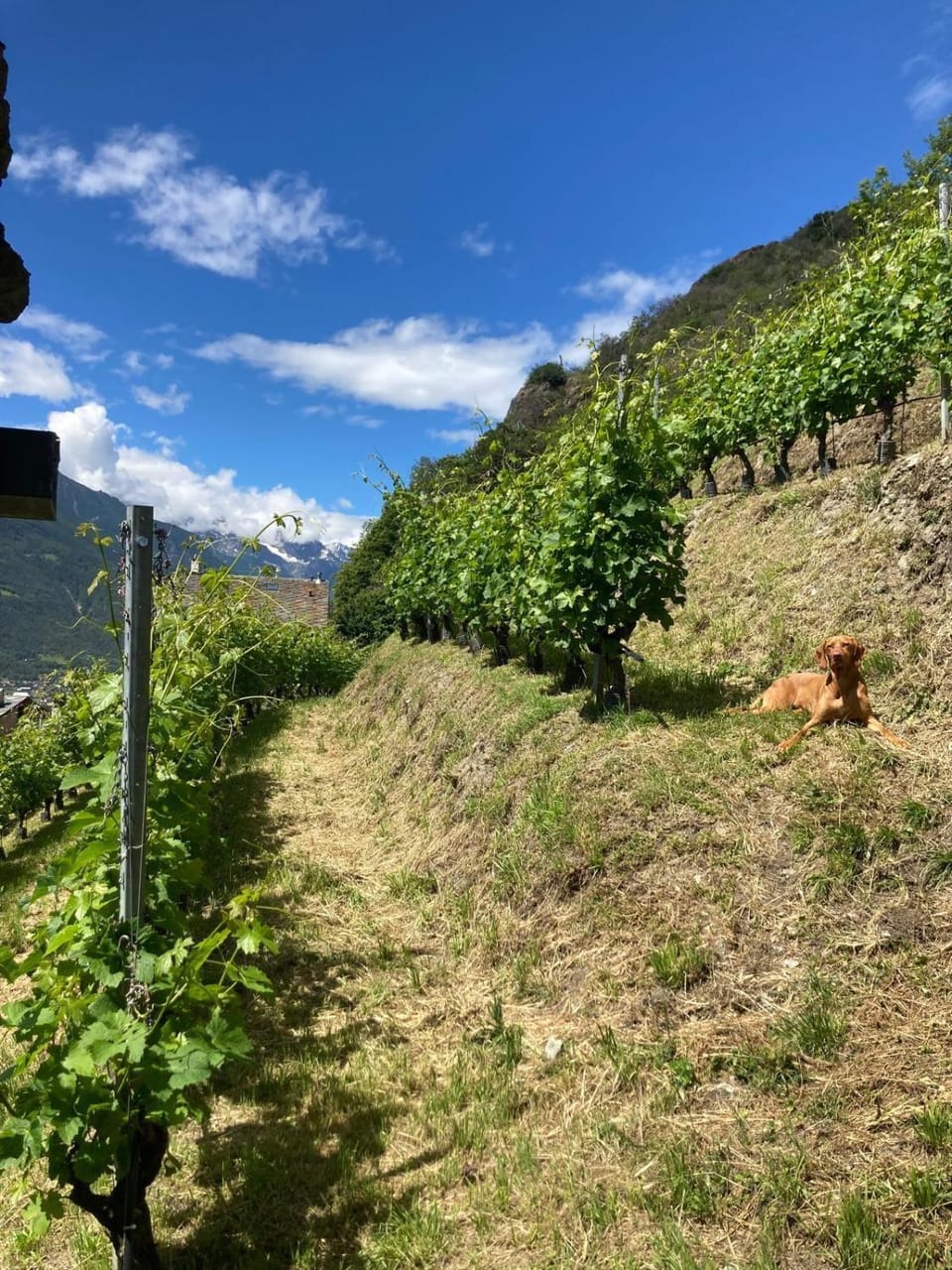 Natural landscape, Mountain view