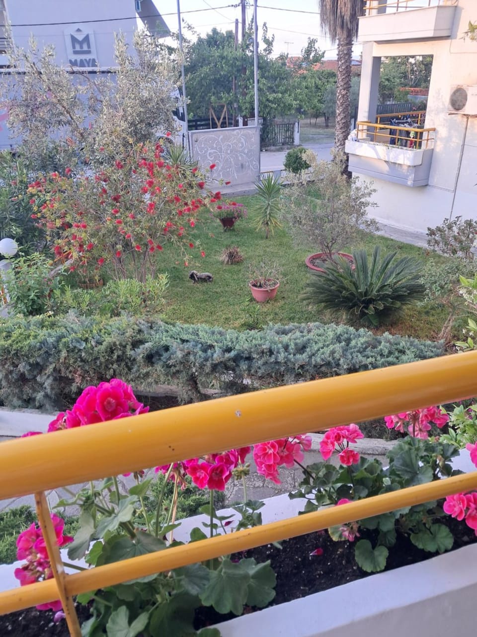 Amalia's house House in Chaniotis