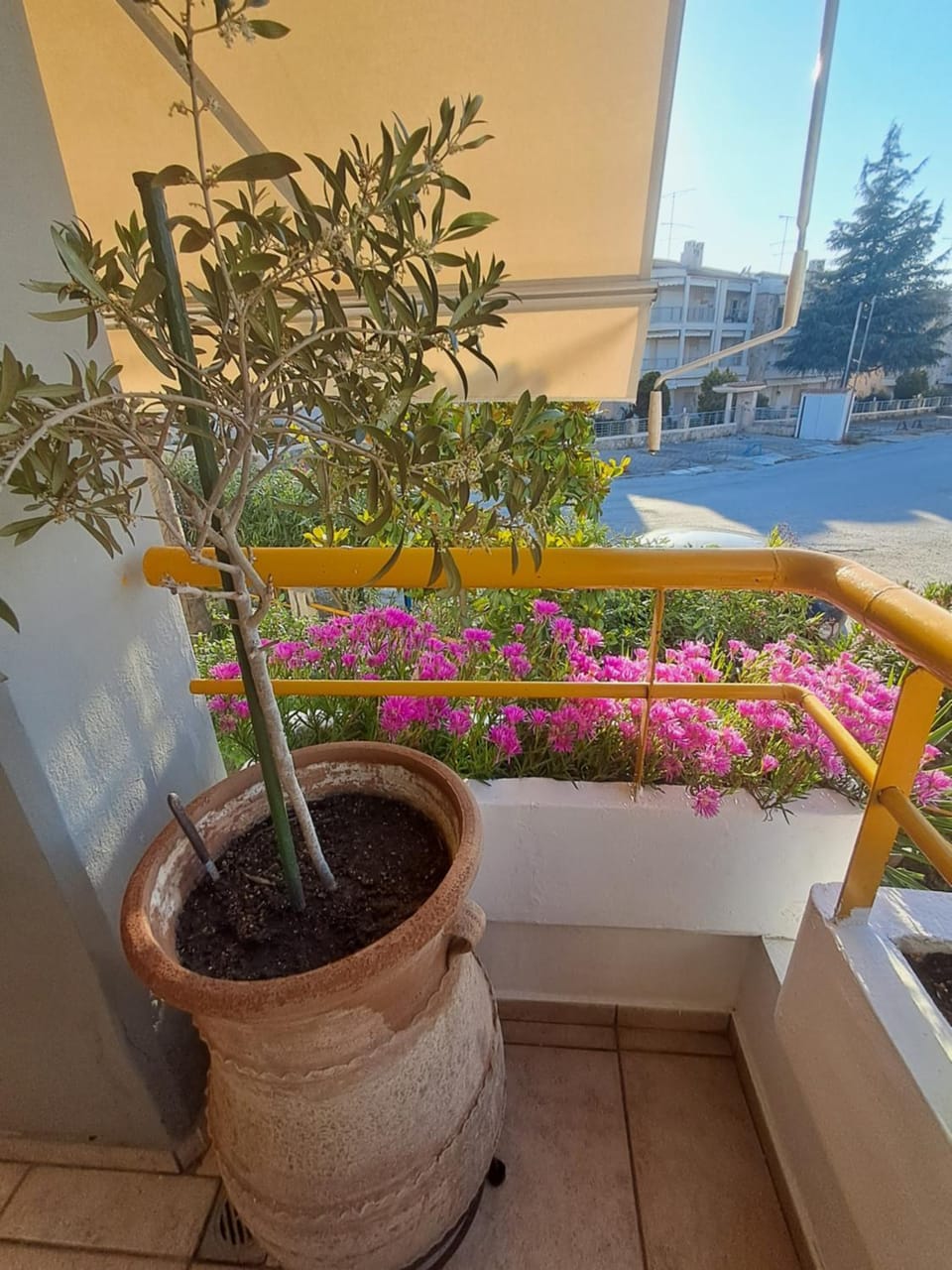 Amalia's house House in Chaniotis