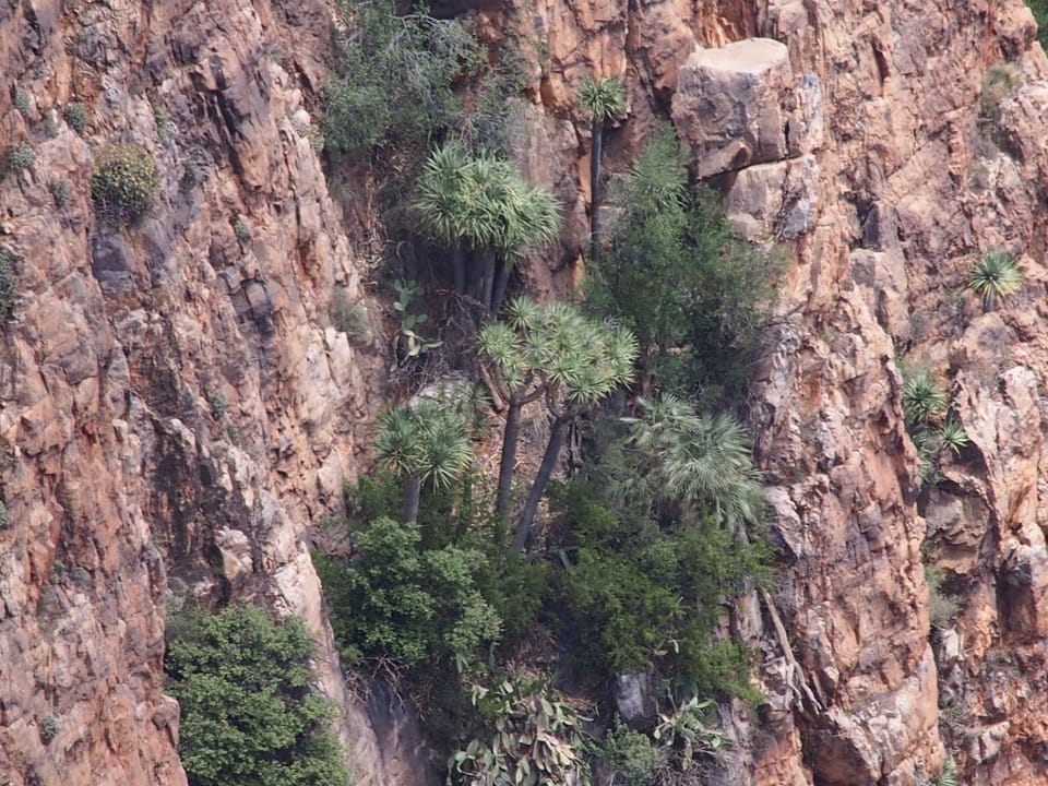 Ajgal imzi Inn in Souss-Massa