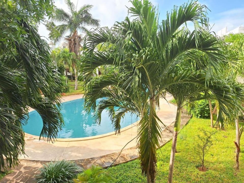 Garden, Pool view, Swimming pool