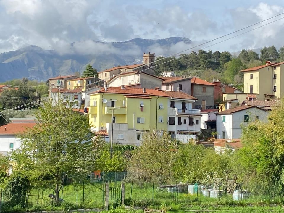 Natural landscape