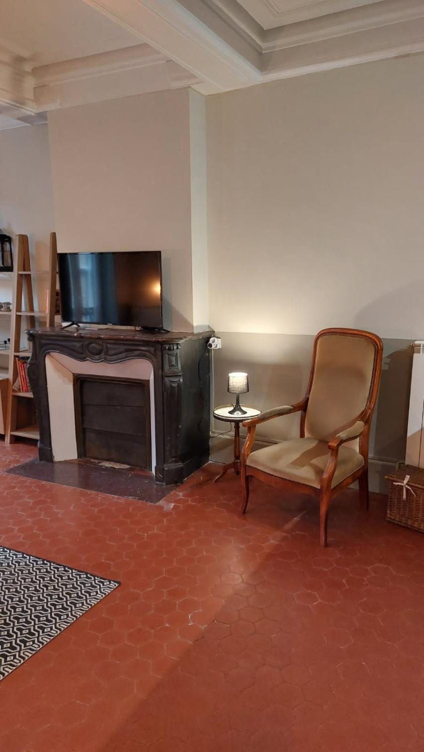 Appartement calme à 100m des Allées Paul Riquet Apartment in Béziers