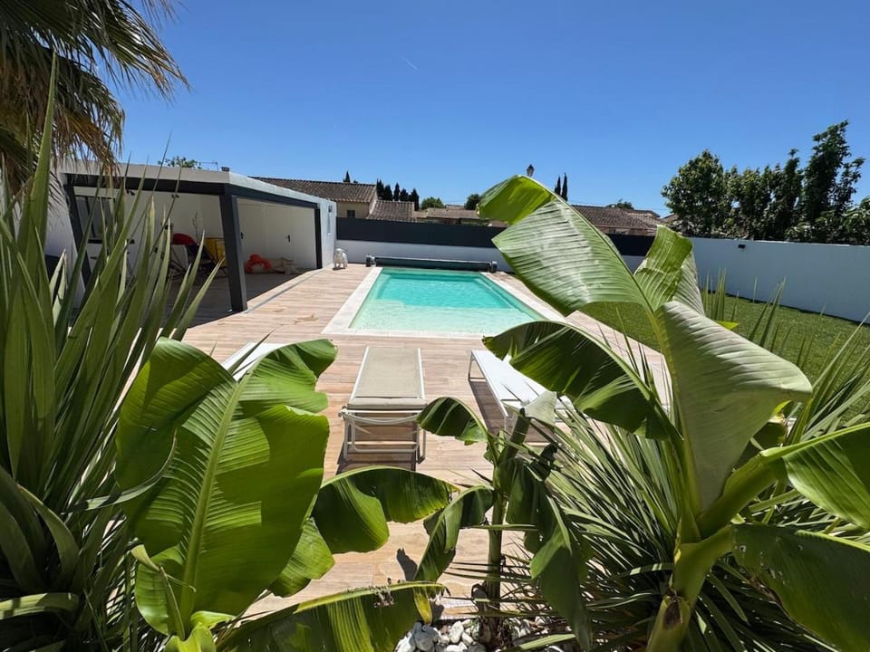 Garden, Swimming pool