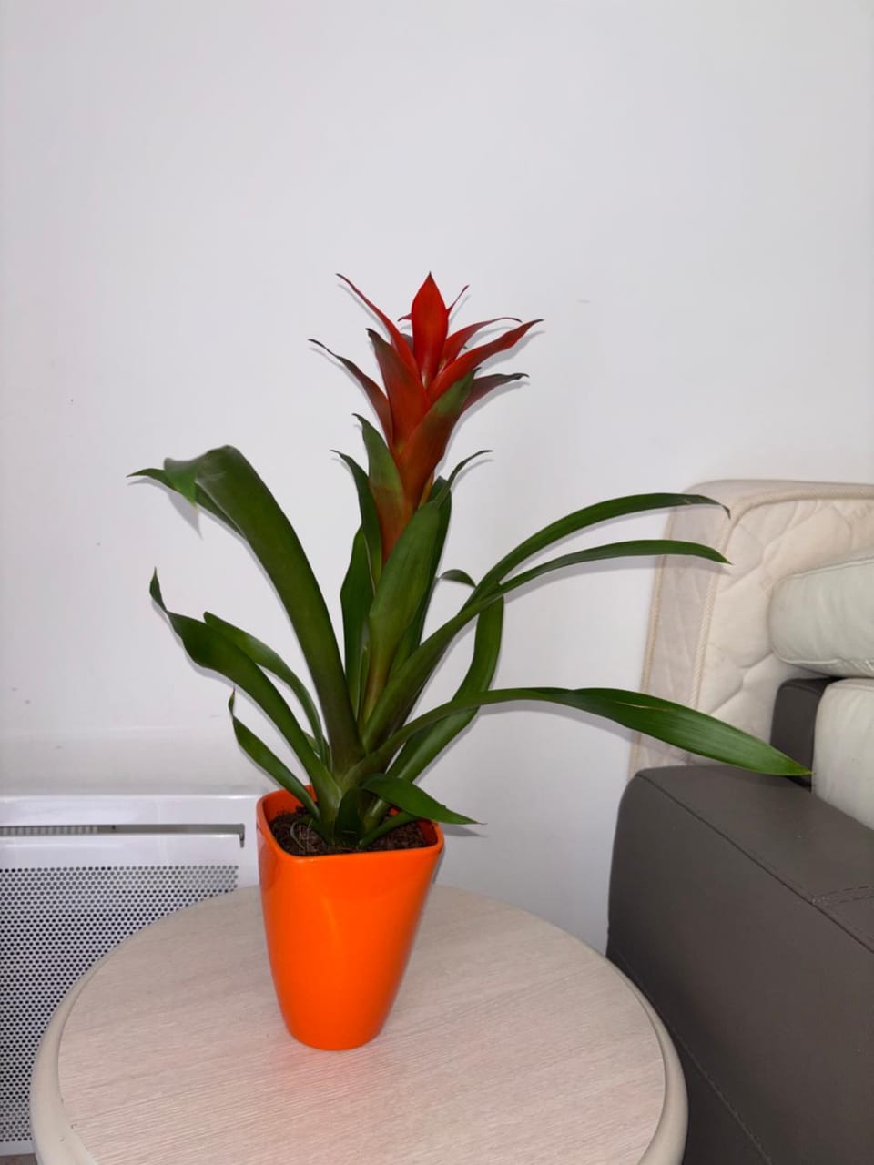 Cœur de Nice - Plage à 5min Apartment in Nice