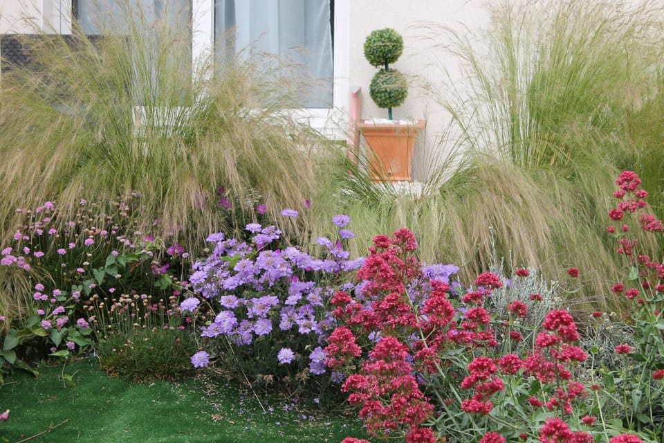 Garden, Balcony/Terrace