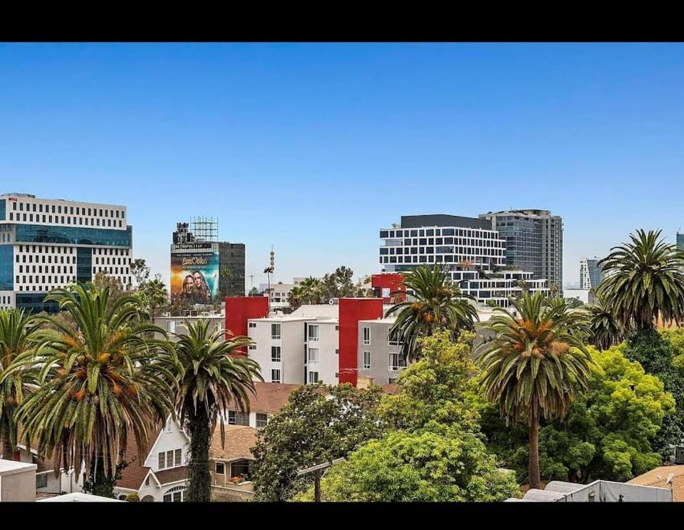 Modern Escape in Hollywood with Rooftop & City Views Apartment in Hollywood