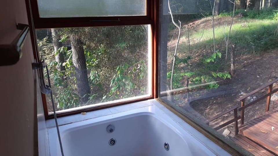 Hot Tub, Garden view