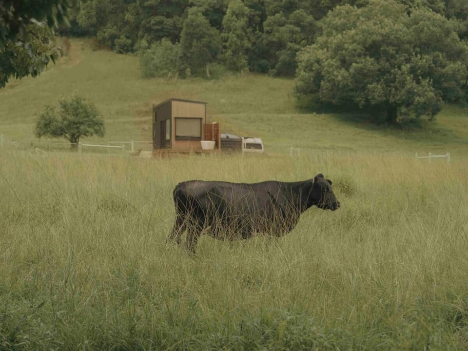 Property building, Day, Natural landscape, Animals