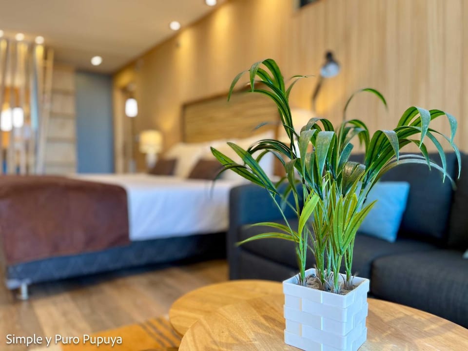 Simple y Puro Pupuya Apartment in O'Higgins, Chile