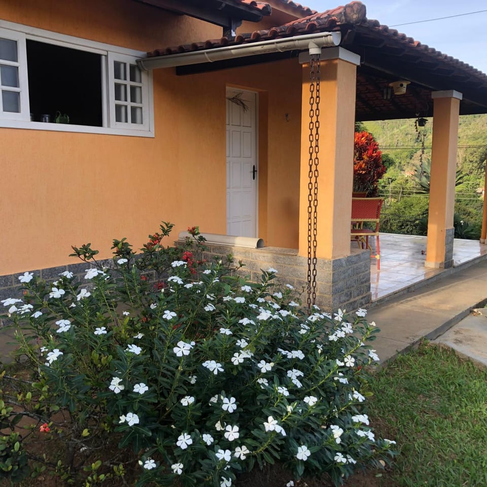 Patio, Garden, Garden view