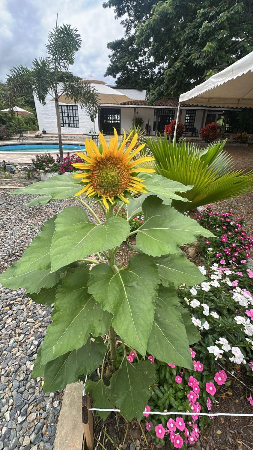 Finca el origen House in Valle del Cauca