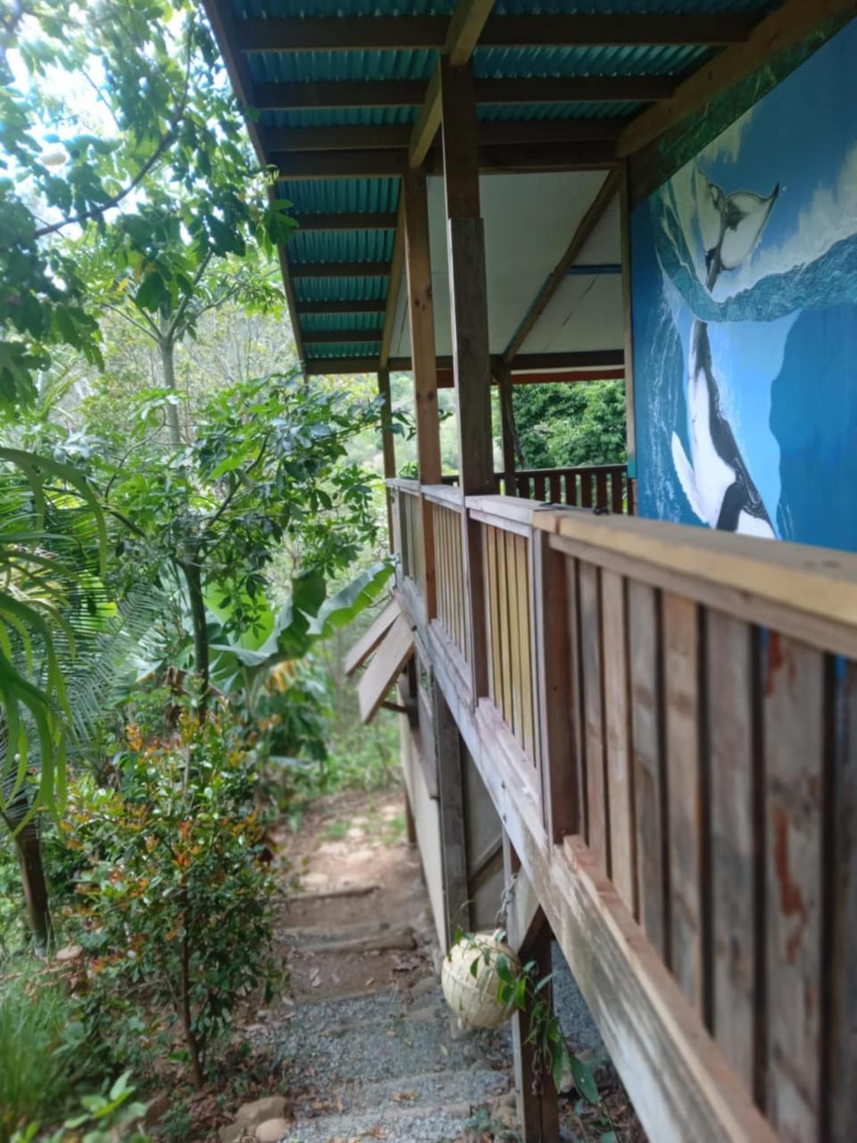 Maison baleine, la pirogue enchantée House in South Province, New Caledonia