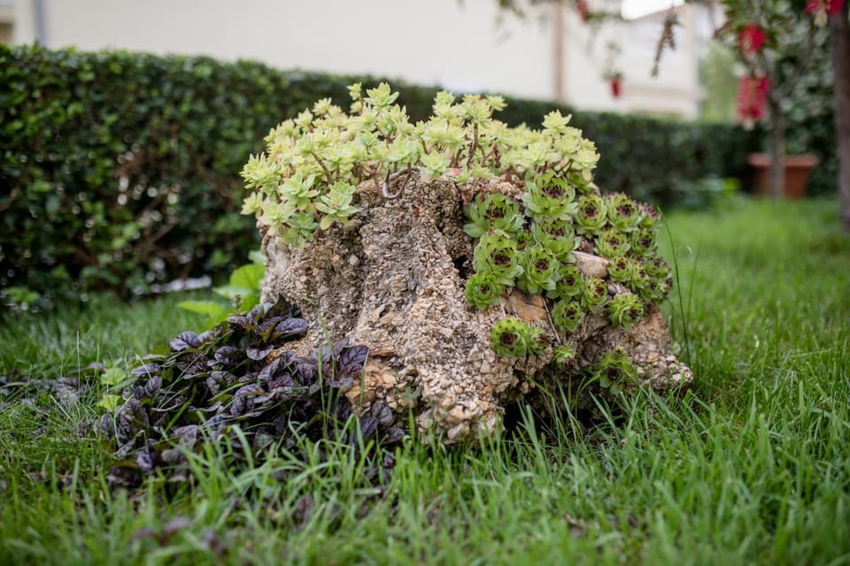 Apartmani Marica Beg Apartment in Lika-Senj County