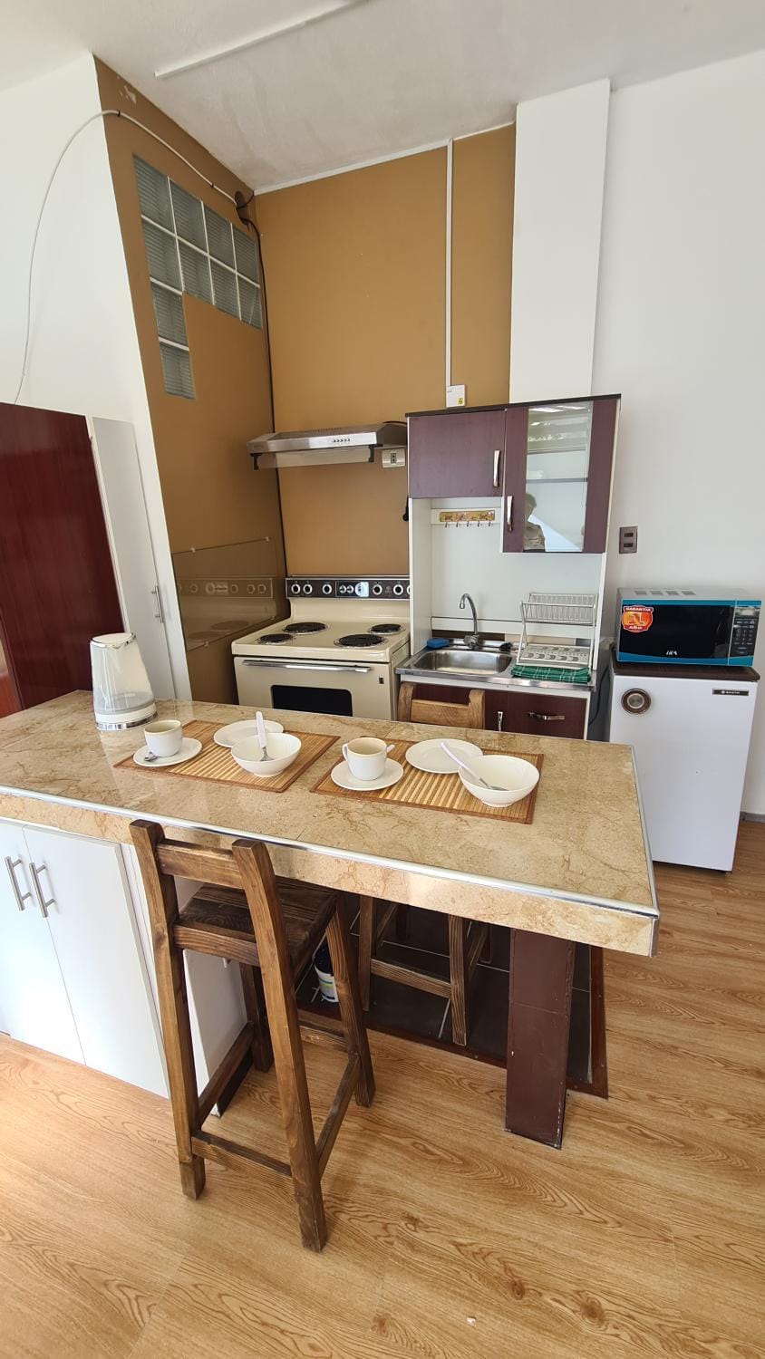 Kitchen or kitchenette, microwave, stove