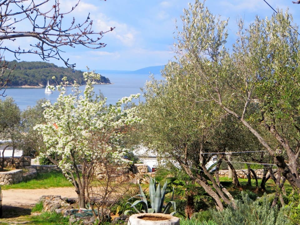Garden, View (from property/room)