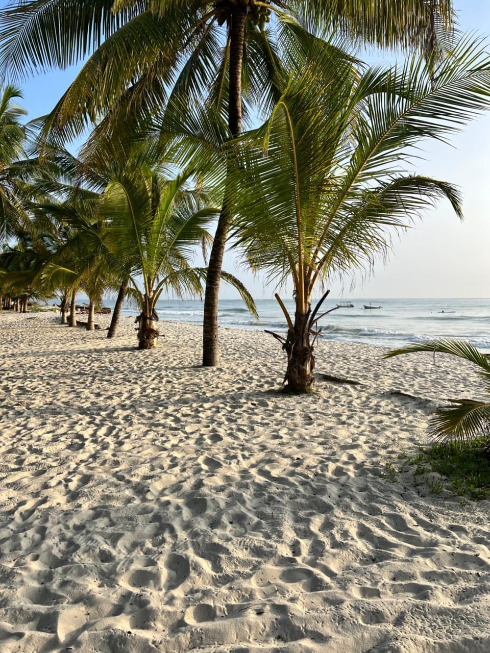 Golden Sun-Fisherhut Apartment in Diani Beach