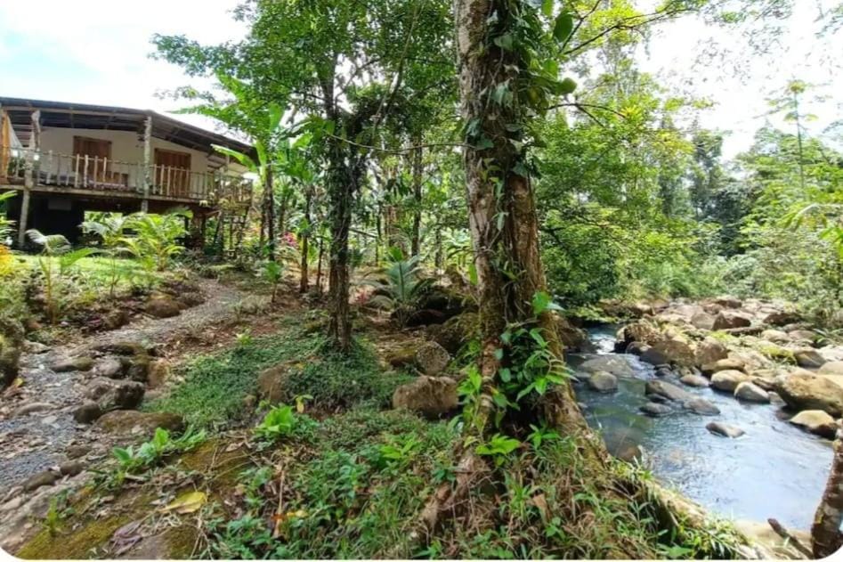 Cabins river blue Cabin in Alajuela Province