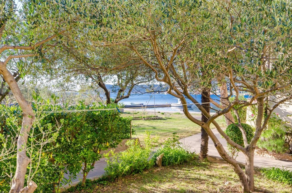 View (from property/room), Beach