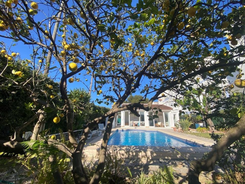 Garden, Garden view, Swimming pool