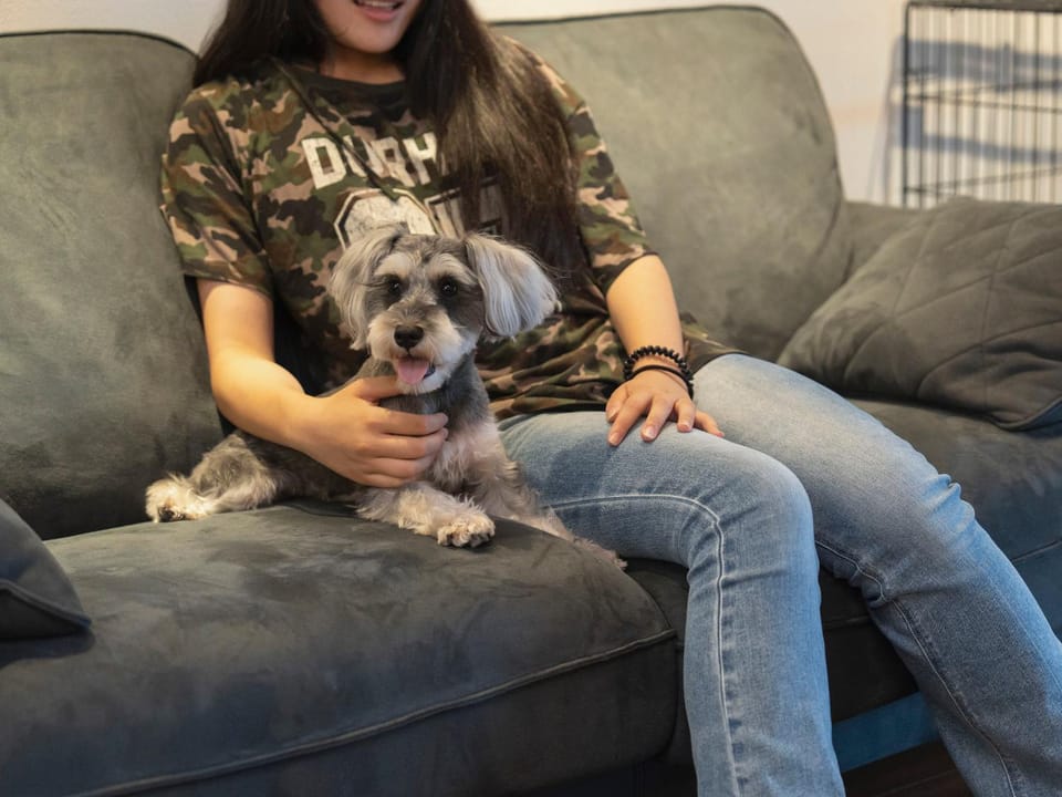 pet friendly