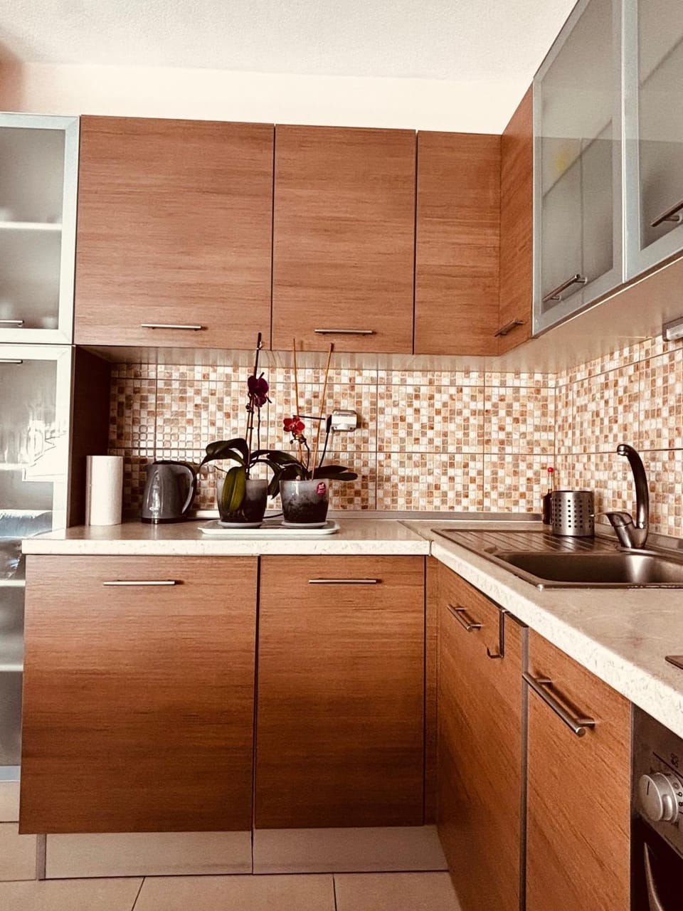 Coffee/tea facilities, Kitchen or kitchenette, minibar, pet friendly, stove