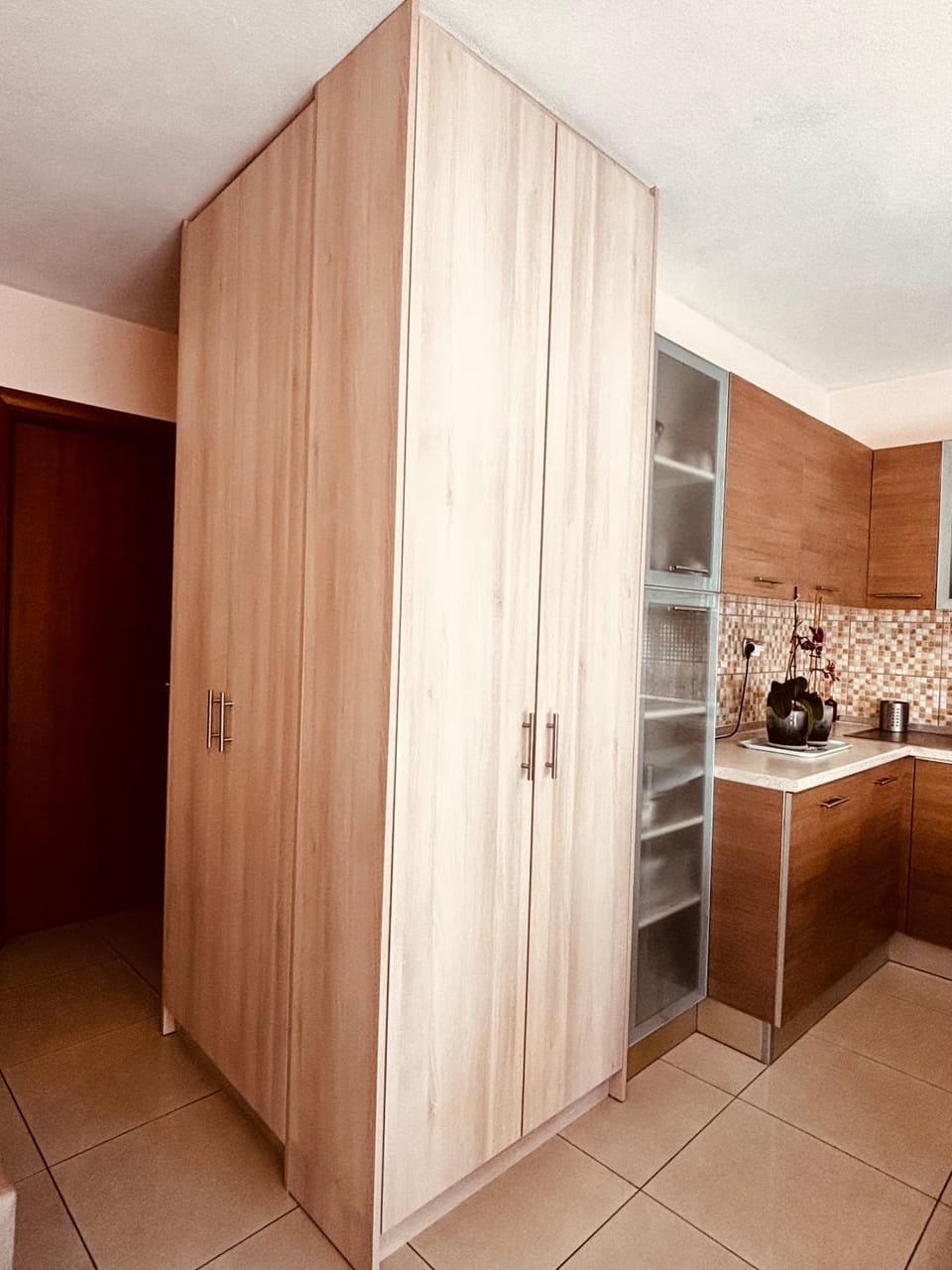 Kitchen or kitchenette, minibar, pet friendly, stove, wardrobe
