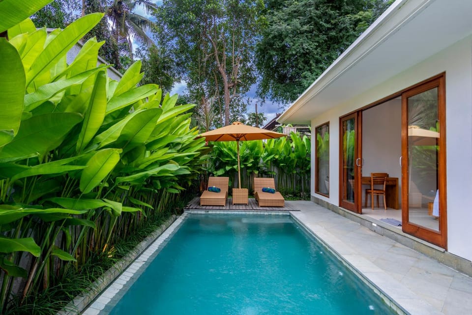 Property building, Garden, Garden view, Pool view, Pool view, Swimming pool, sunbed