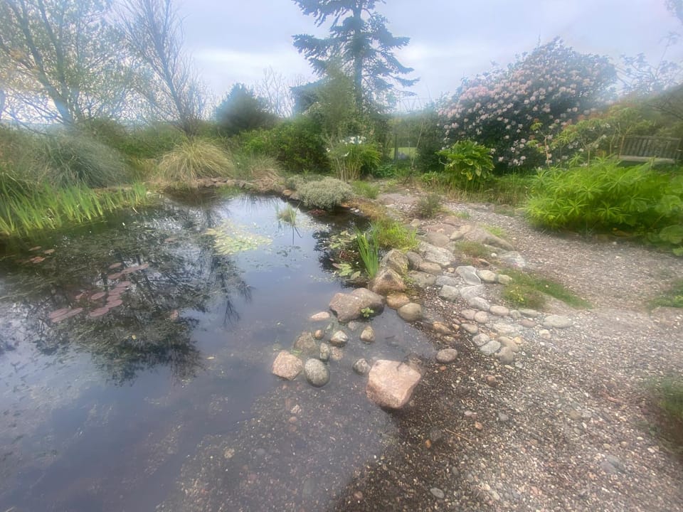 Natural landscape